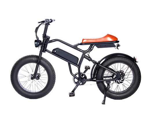 Coasta T20B 12.5AH 500W 750W Electric 20 inch Fat Tire Ebike Dual Suspension Mountain Electric Bike