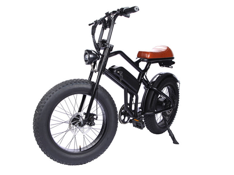 Coasta T20B 12.5AH 500W 750W Electric 20 inch Fat Tire Ebike Dual Suspension Mountain Electric Bike