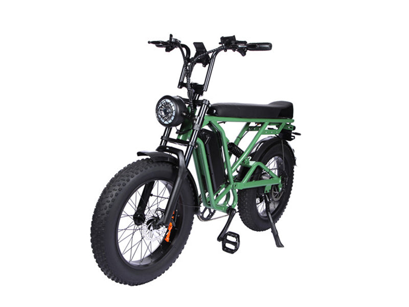 T20-D Ce Rohs Ebike Big Tires Fat Bike 500w 48v E Bike Aluminum Alloy Electric Mountain Bike 20 Inch Beach Cruiser Fatbike