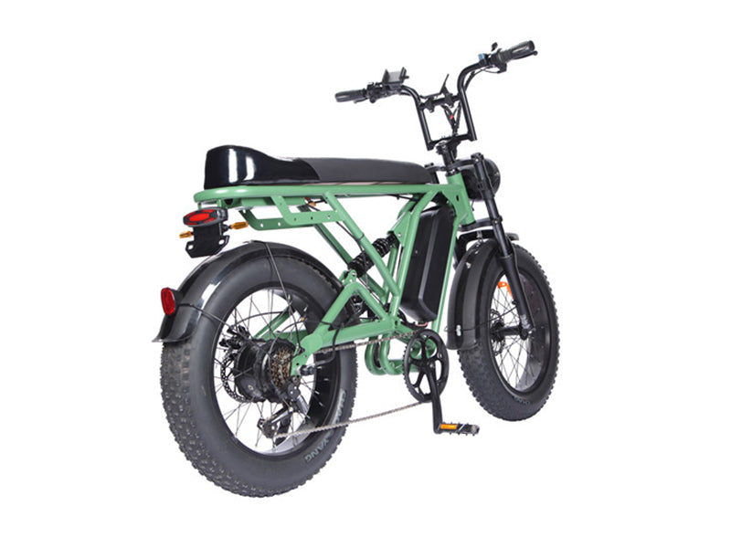 T20-D Ce Rohs Ebike Big Tires Fat Bike 500w 48v E Bike Aluminum Alloy Electric Mountain Bike 20 Inch Beach Cruiser Fatbike